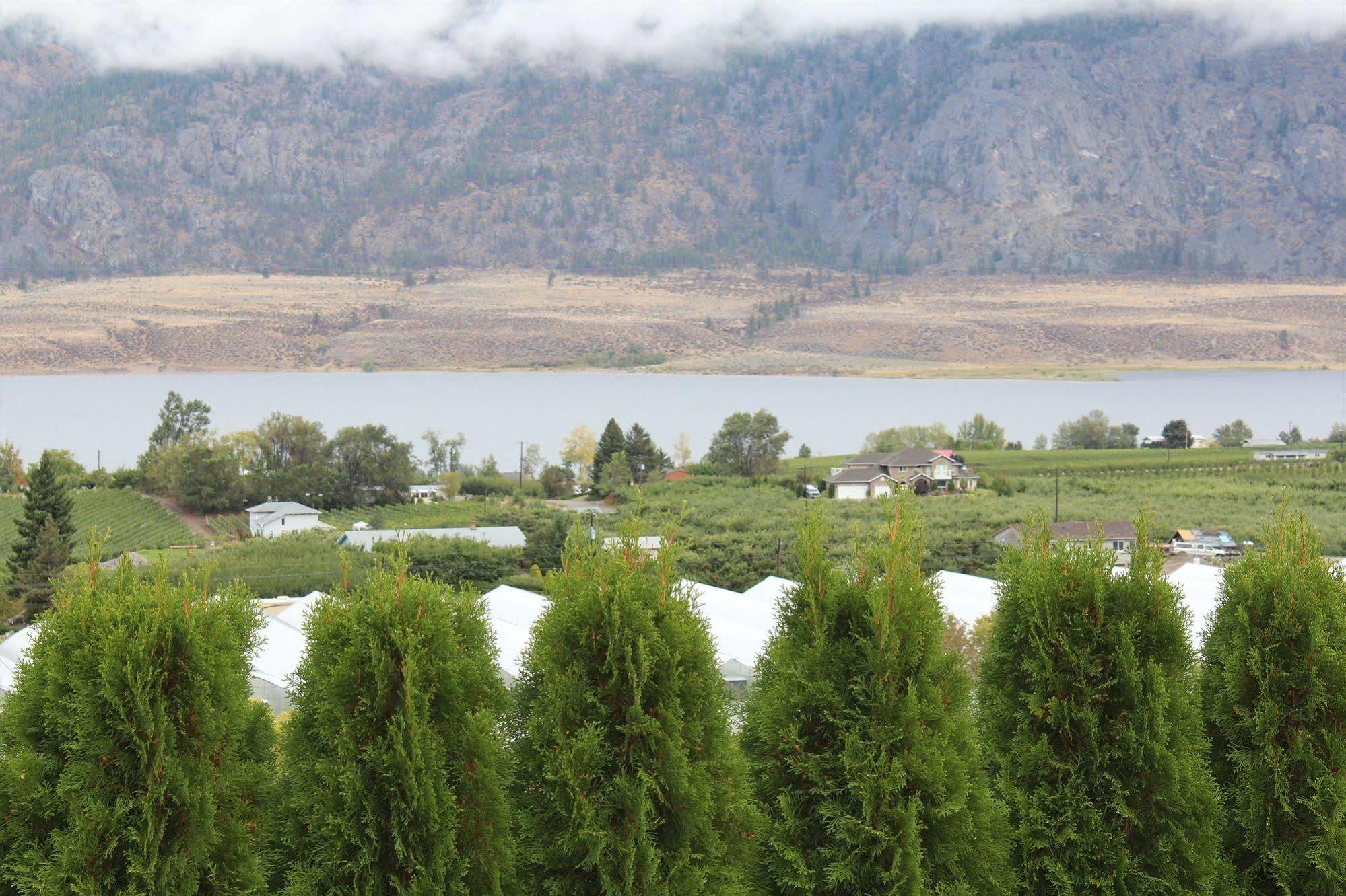 Shiraz Villa Osoyoos Extérieur photo
